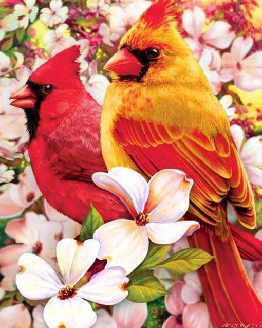 Cardinals Birds Painting By Numbers.png