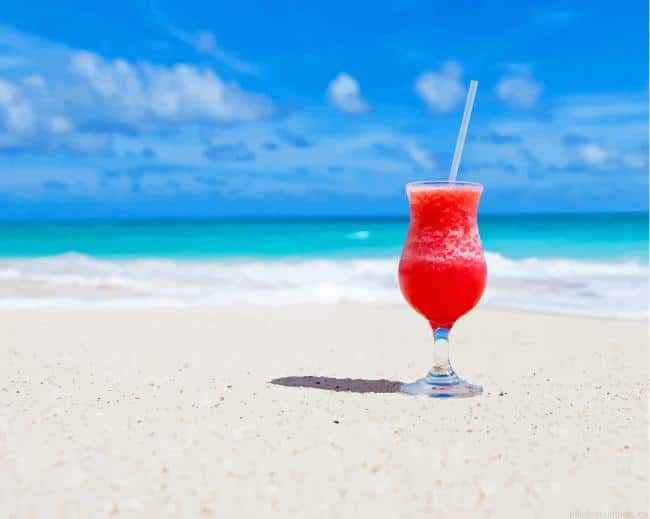Caribbean Cocktail Drinks Painting By Numberss.png