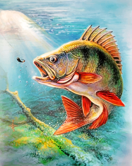 Carp Fish Painting By Numbers.png