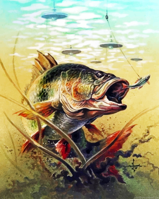 Carp Painting By Numbers.png
