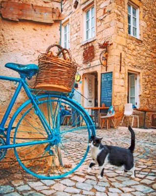Cat And Blue Bike Painting By Numbers.png