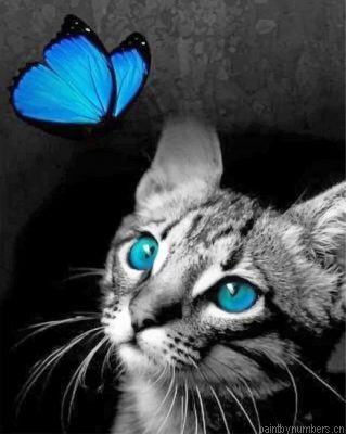 Cat And Butterfly Painting By Numbers.png