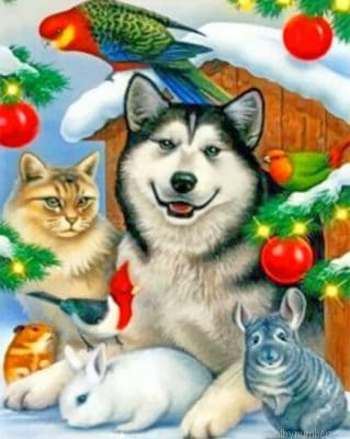 Cat And Dog Painting By Numberss.png