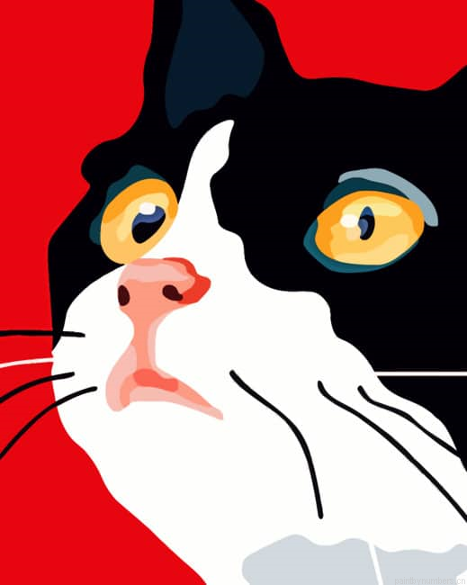 Cat Face Illustration Animals Painting By Numberss.png