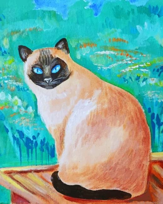 Cat Impressionist Painting By Numberss.png