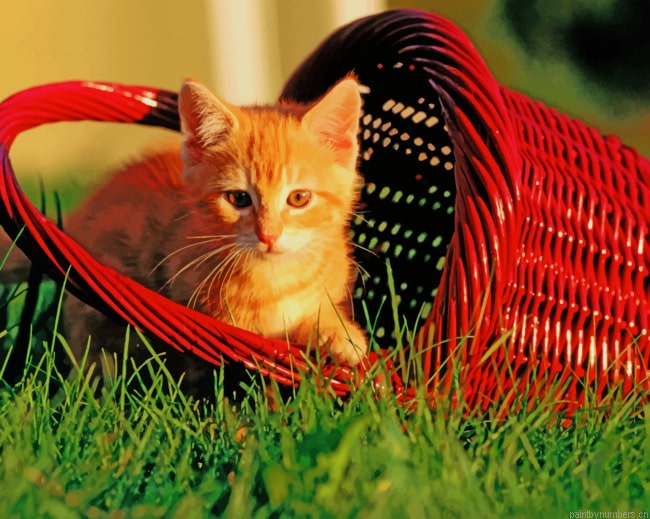 Cat In Basket Animals Painting By Numberss.png