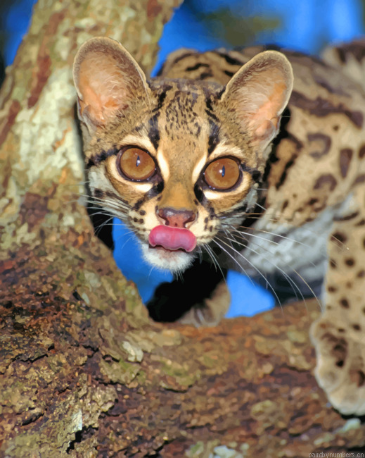 Cat In The Jungle Animals Painting By Numberss.png