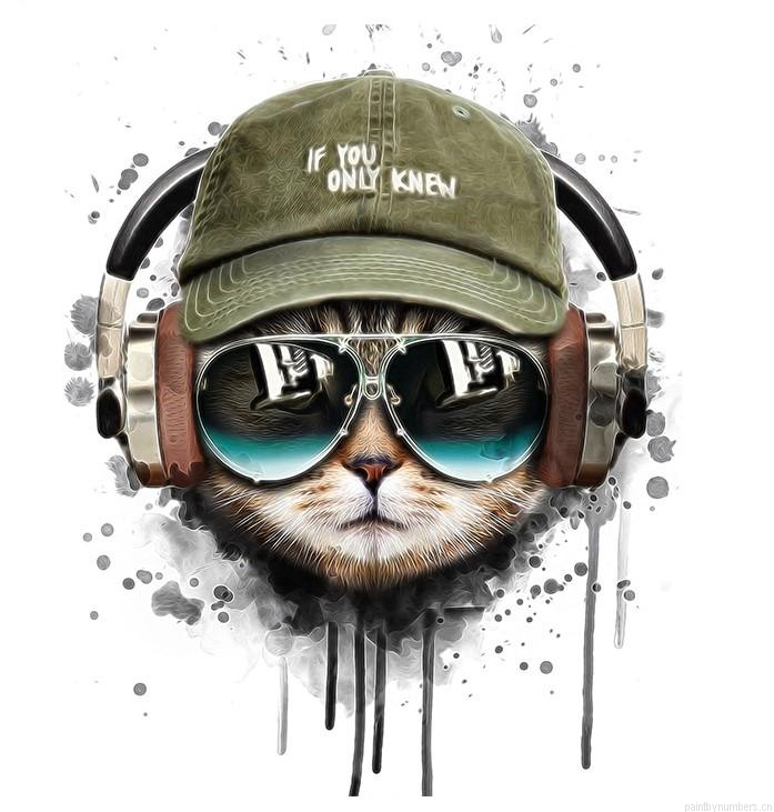 Cat Listening To Music Animals Painting By Numbers.png