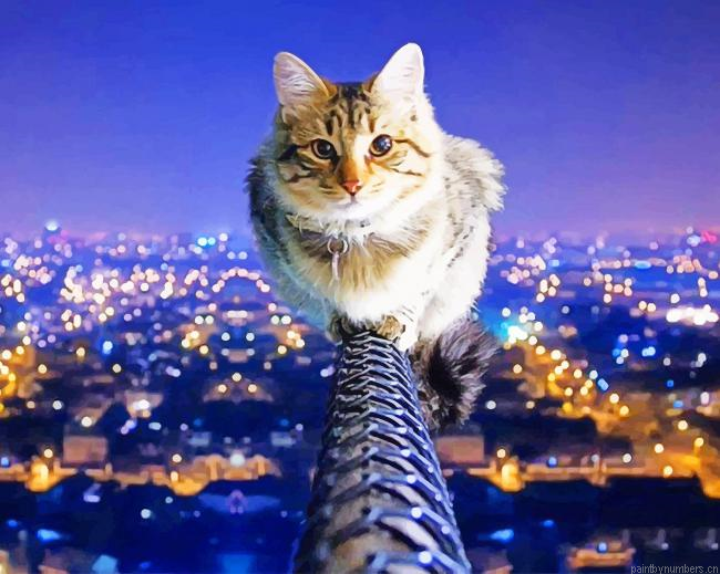 Cat On Top Of The World Animals Painting By Numberss.png