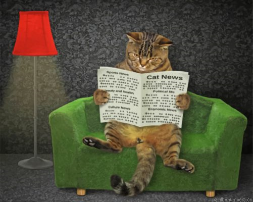 Cat Reading News Paper Painting By Numberss.png