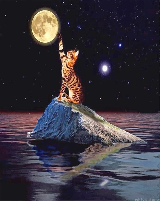 Cat Touching Moon Painting By Numberss.png