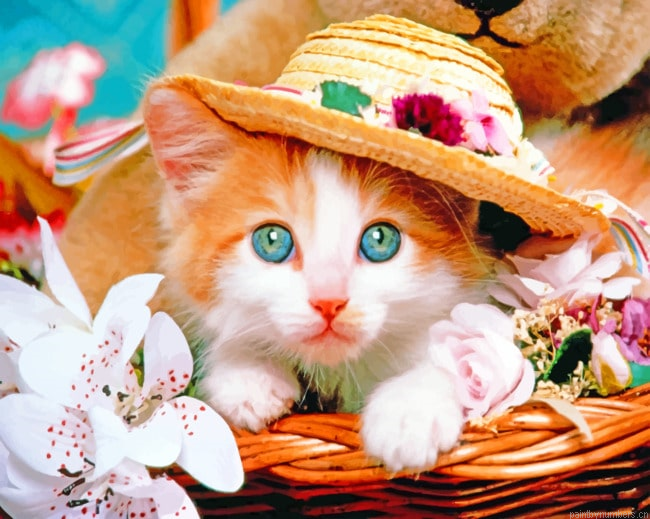 Cat With A Hat Animals Painting By Numberss.png