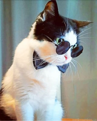 Cat With Black Sunglasses Painting By Numbers.png