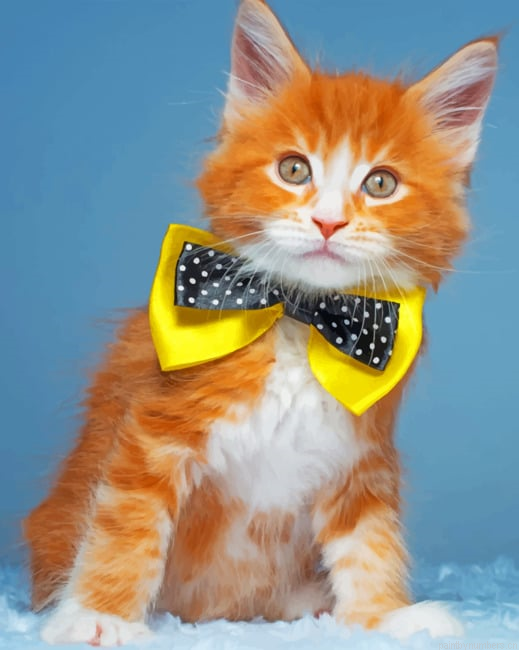 Cat With Neck Bow Tie Animals Painting By Numberss.png