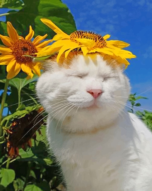 Cat With Sun Flowers Animals Painting By Numberss.png