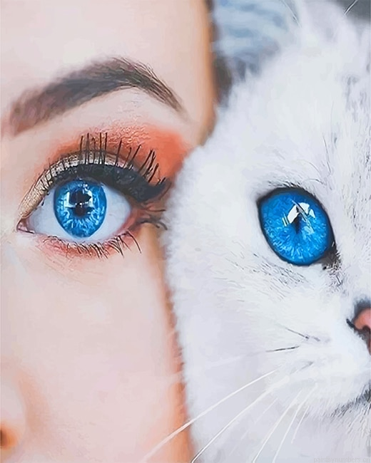 Cat Woman Beautiful Blue Eyes Painting By Numberss.png