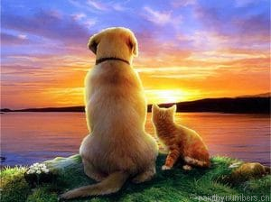 Cat And Dog Watching The Sunset Painting By Numberss.png