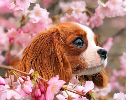 Cavalier Puppy And Blossoms Painting By Numbers.png