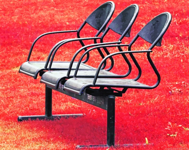 Chairs In Red Weed Leaves Painting By Numberss.png