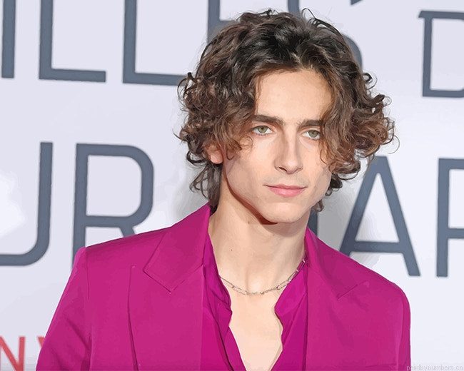 Chalamet Timothee Actors Painting By Numbers.png