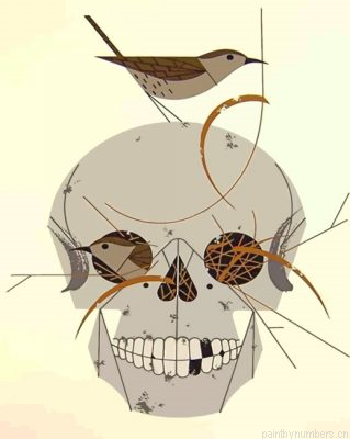 Charley Harper Skull Painting By Numbers.png