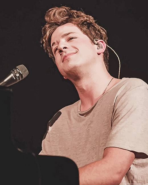 Charlie Puth On Stage Singers Painting By Numbers.png