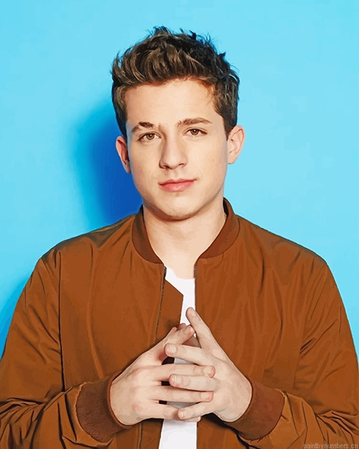 Charlie Puth Portrait Singers Painting By Numbers.png