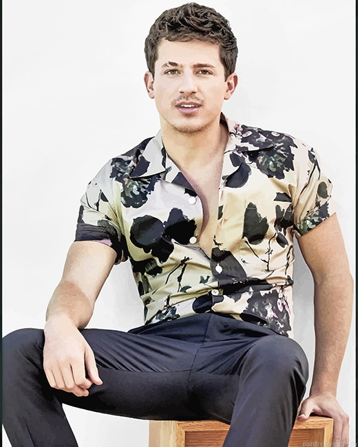 Charlie Puth Singer Painting By Numbers.png
