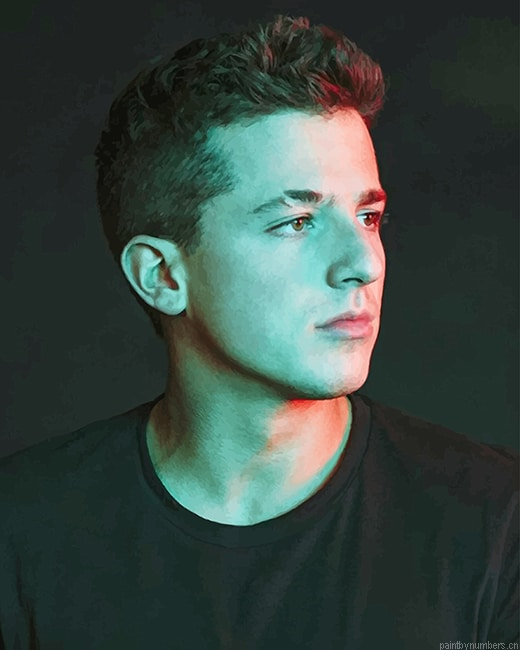 Charlie Puth Wearing Black Singers Painting By Numbers.png