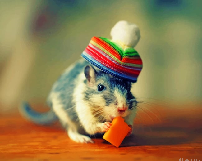 Cheese Rabbit Animals Painting By Numberss.png