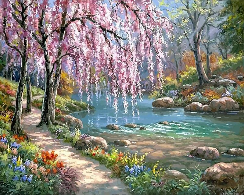 Cherry Blossom Tree Near River Landscapes Painting By Numbers.png