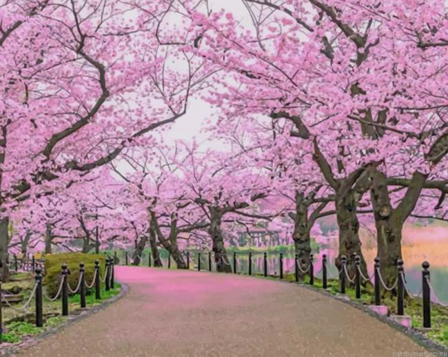 Cherry Blossom Trees Garden Nature Painting By Numberss.png