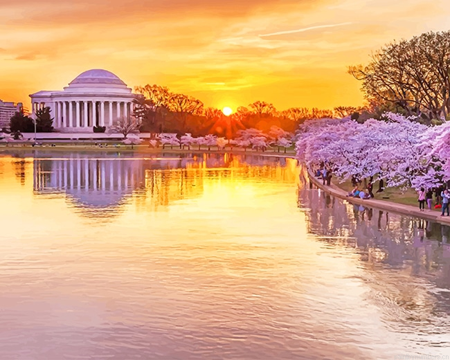 Cherry Blossom Washington Sunset Painting By Numberss.png