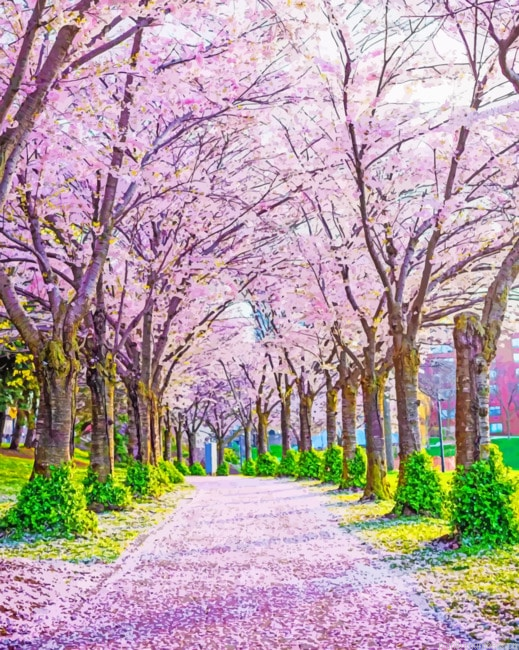Cherry Blossoms High Park Nature Painting By Numbers.png