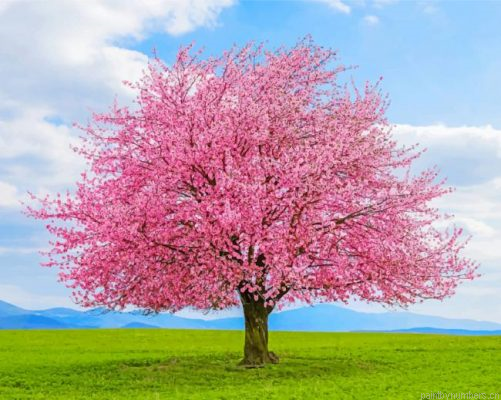 Cherry Tree Painting By Numbers.png
