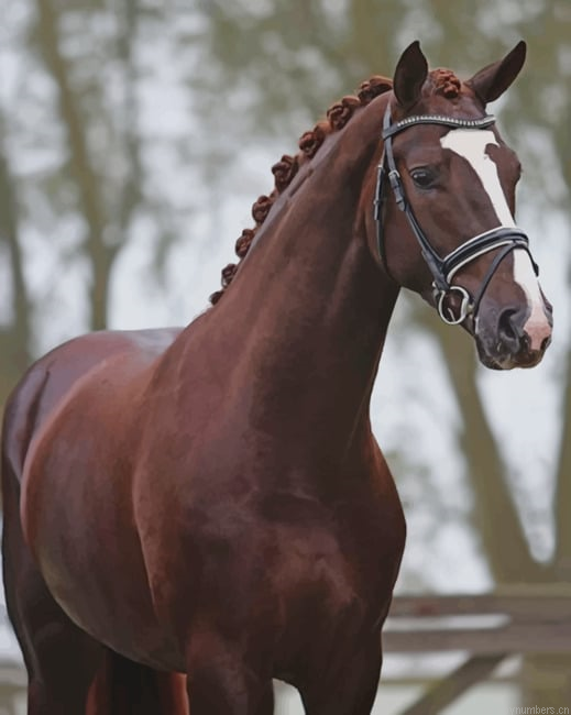 Chestnut Warmblood Horse Animals Painting By Numberss.png