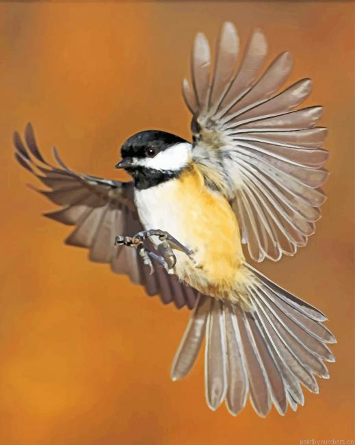 Chickadee Flying Bird Painting By Numberss.png