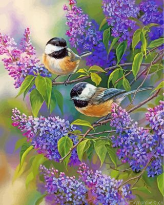 Chickadees And Lilacs Painting By Numbers.png