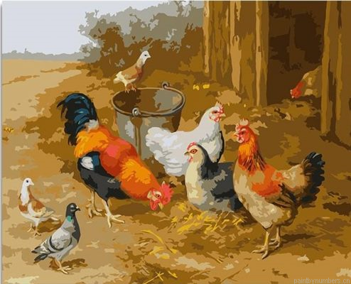 Chickens And Pigeons Painting By Numbers.png