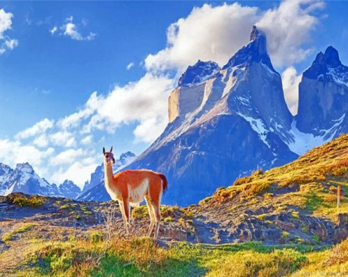 Chile South America Painting By Numbers.png