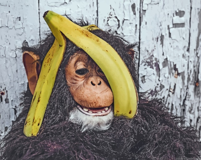 Chimpanzee With Banana Animals Painting By Numberss.png