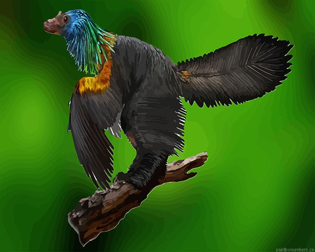 Chinese Caihong Juji Painting By Numberss.png