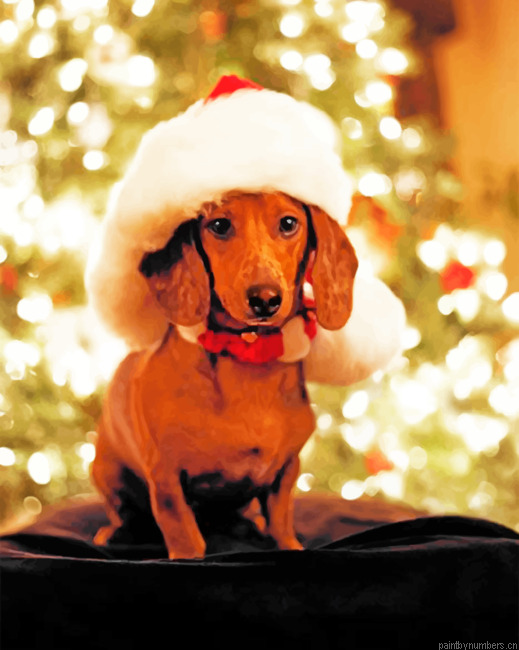 Christmas Dachshund Painting By Numberss.png