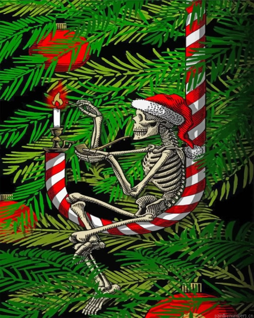 Christmas Skull Painting By Numberss.png
