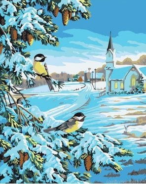 Christmas Snow Birds Painting By Numbers.png