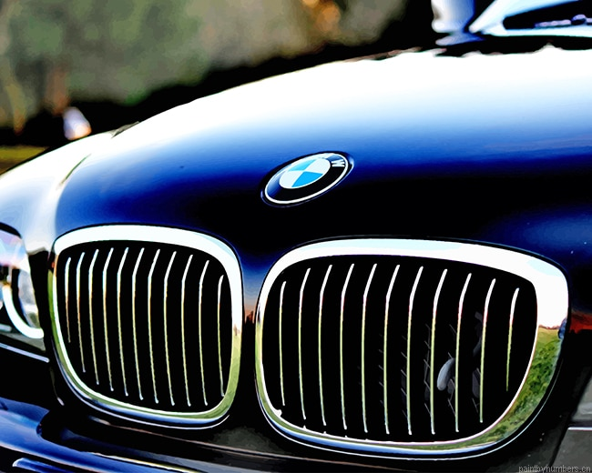 Chrome Bmw Grille Cars Painting By Numbers.png