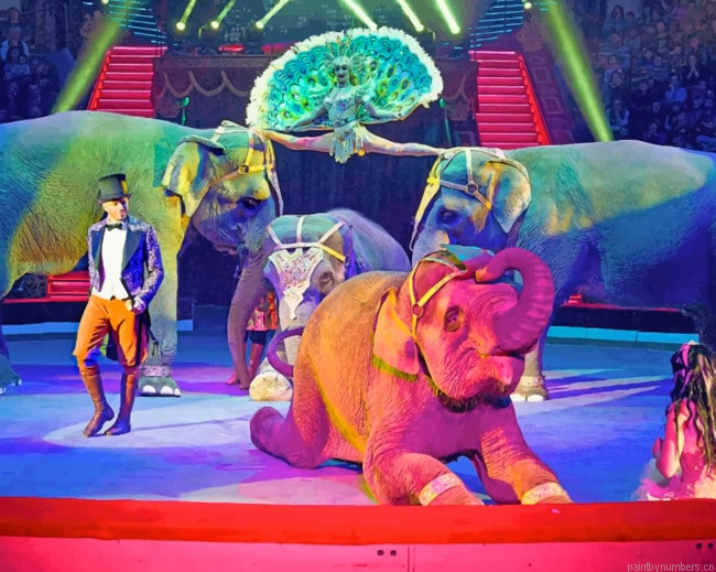 Circus Elephants Performing Animals Painting By Numberss.png