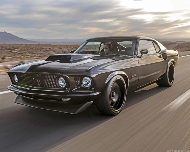 Classic Mustang Cars Painting By Numbers.png