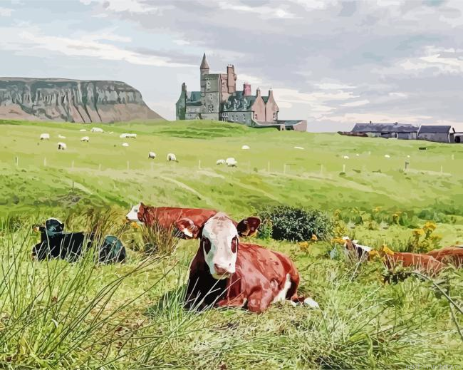 Classiebawn Castle Ireland Painting By Numberss.png