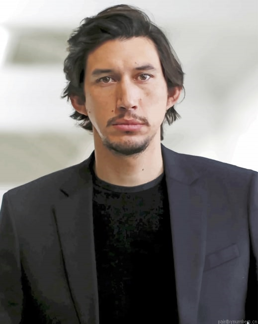 Classy Adam Driver Actors Painting By Numbers.png